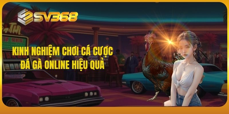 Kinh nghiệm chơi cá cược đá gà online hiệu quả