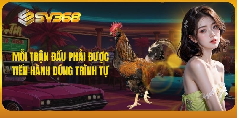 Mỗi trận đấu phải được tiến hành đúng trình tự