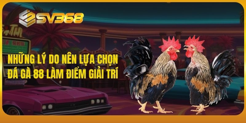 Những lý do nên lựa chọn đá gà 88 làm điểm giải trí