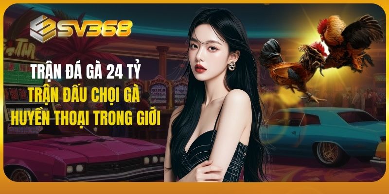 đá gà 24 tỷ